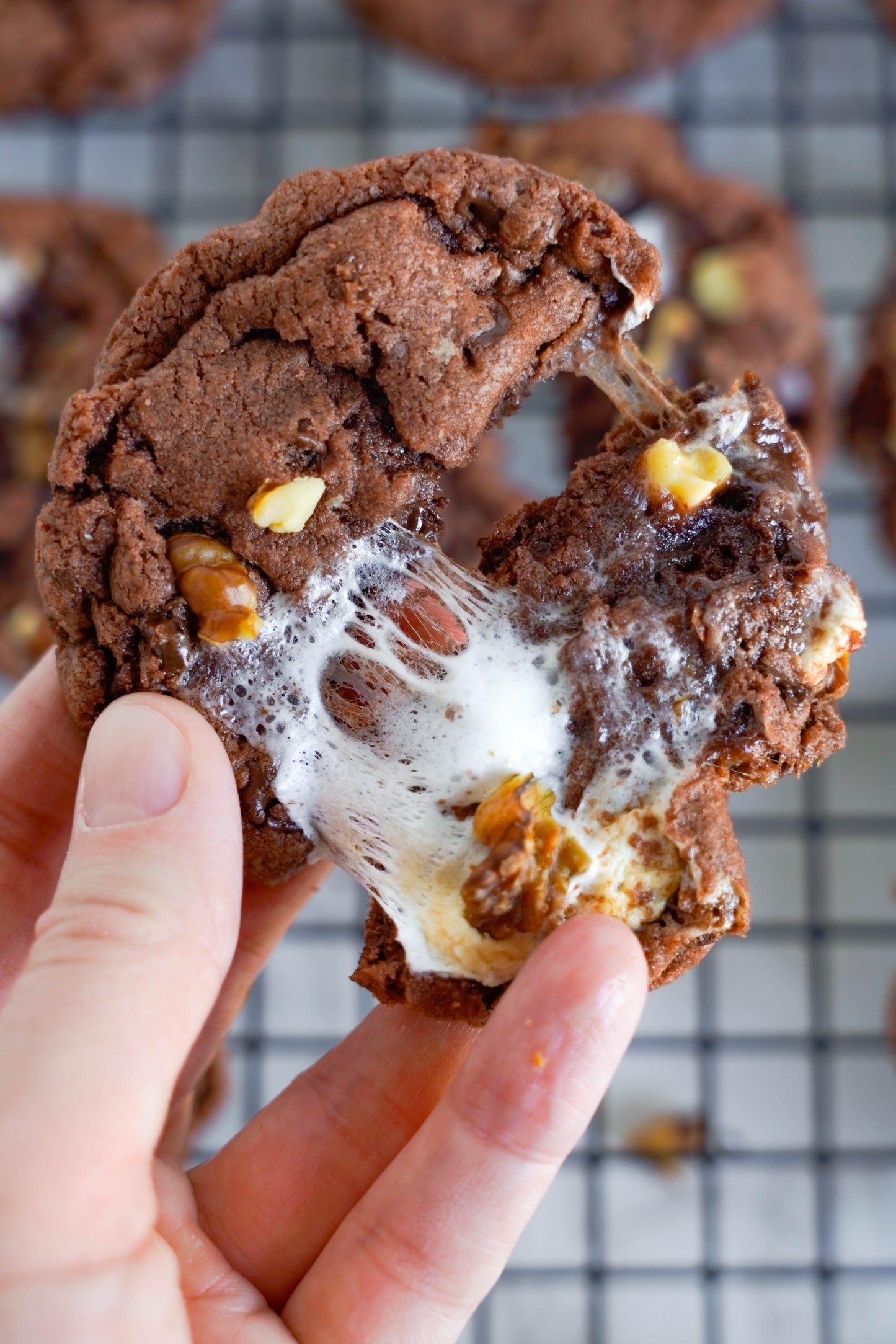 Mini Bundle | Melty Recipes