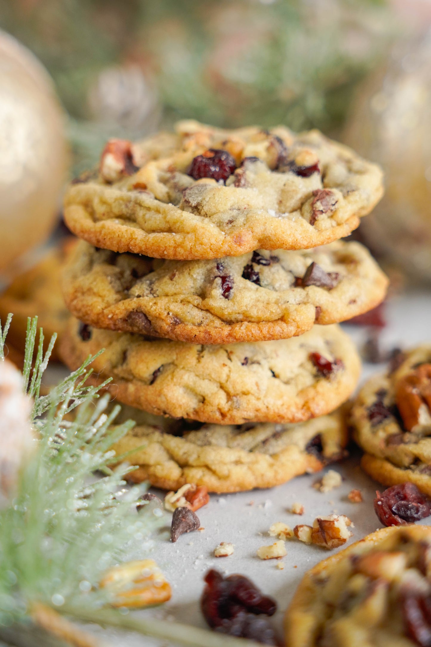 Cranberry Chocolate Chip Cookies