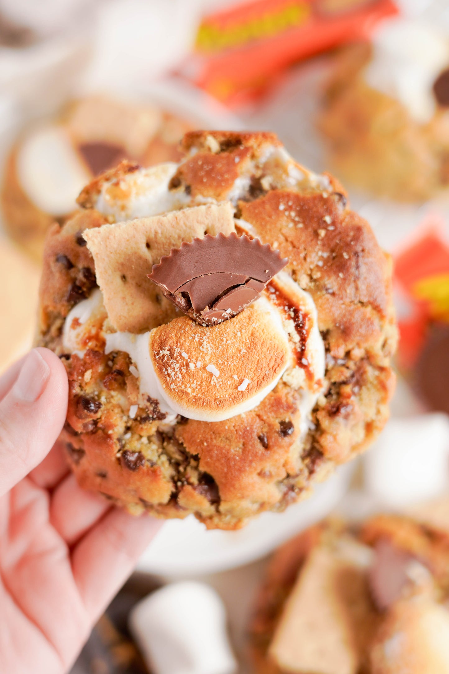 The BEST VIRAL Cookie Recipes & MORE!